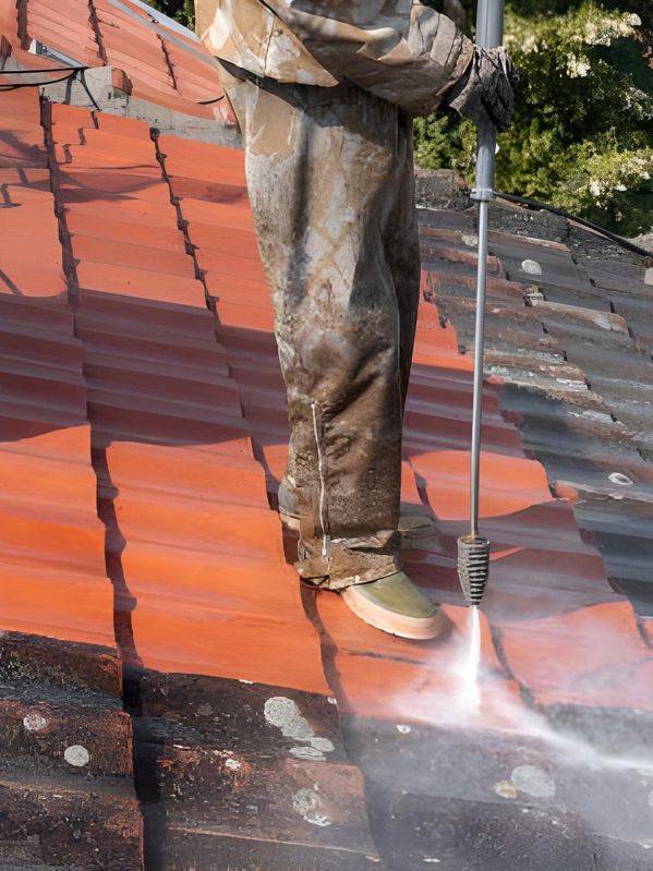 nettoyage toiture la roche sur yon 85000